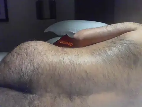 Show webcam de rarindam17