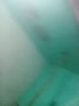 Dimple-Devin Live XXX chat