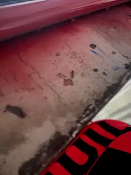 دردشة Colibri_xxx الجنسية المباشرة