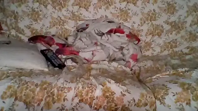 Chatroom XXX en direct de woww791