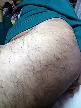 Expresshorse Show in webcam