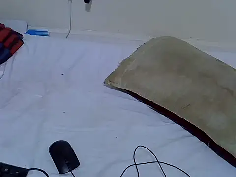 Twerl's Live XXX Chat