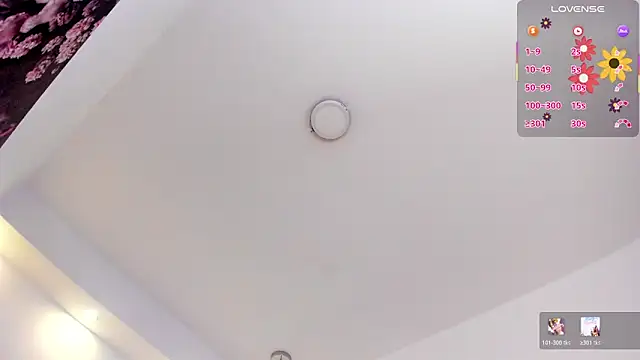 kimknoxn Webbikameraesitys