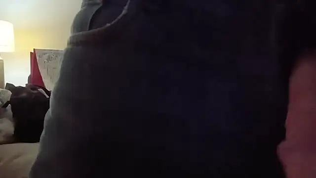 thedudeishere20261's Webcam Show