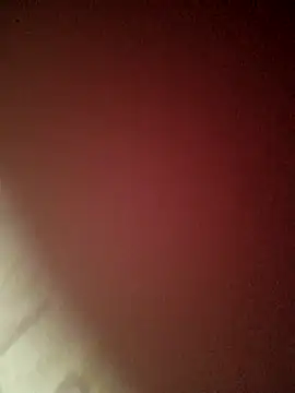 kevinmicheall Chat XXX live