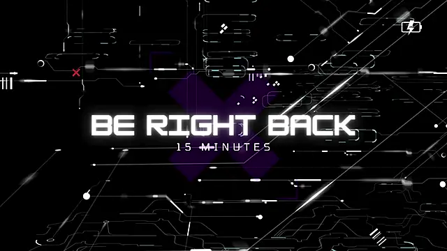 Willoris – Kamerová šou