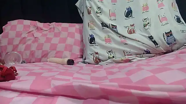 Chat XXX en directo de WetKucchy