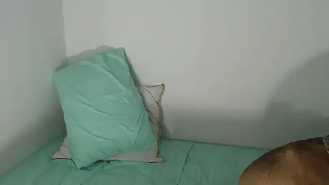 Show de dana-black na webcam