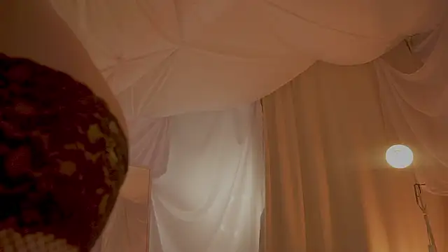 Show webcam de arizonasunrise