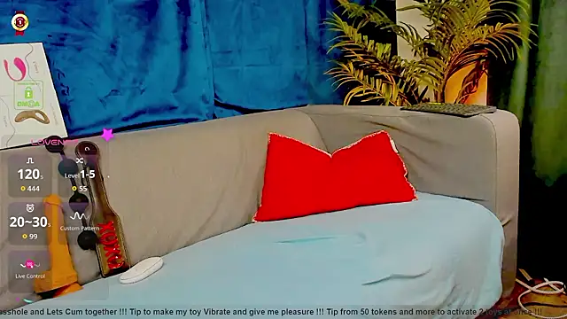 Show webcam de Stefan977