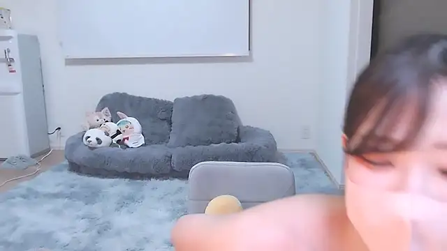 عرض كام -Usagi-