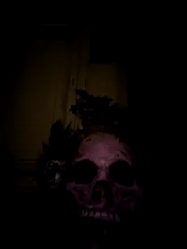 PublicMarekFlashDickn Webbikameraesitys