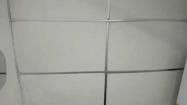 Show de webcam de angiexht