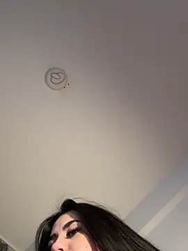 Andrestarr live XXX chat