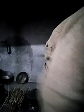 دردشة cutebobi الجنسية المباشرة