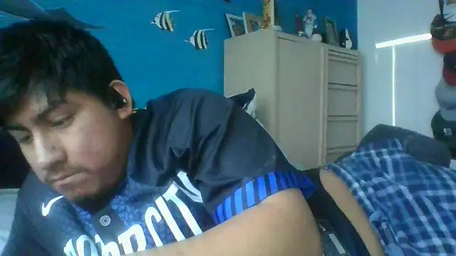 Pertunjukan Kamera Web aloking2004