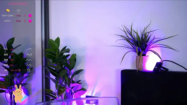 Czat XXX na żywo – BabbyAisha