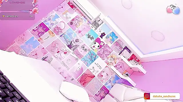 DaleskaSanchezn Webbikameraesitys