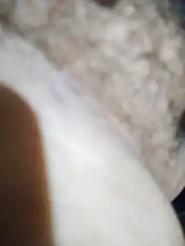 Leosexx's Webcam Show