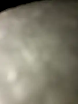 Chat XXX Live matrimonio005