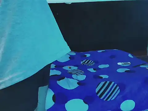 Thonixxx_mr Webcam-Show