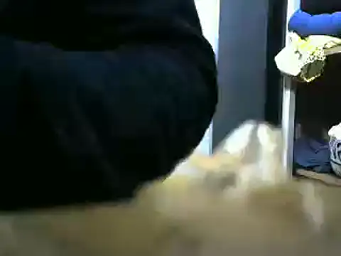 vuran691 Show Webcam