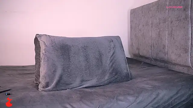 aydan_hw webcam show