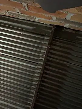 lady_and_charlyn Live XXX chat