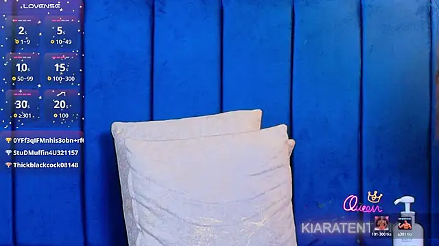 kiaratentationn Webbikameraesitys