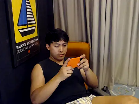 Show de webcam de princeJayX