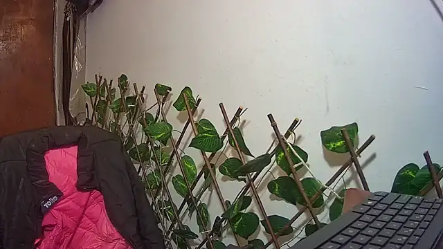 Chat XXX ao vivo de nicoltatiana_