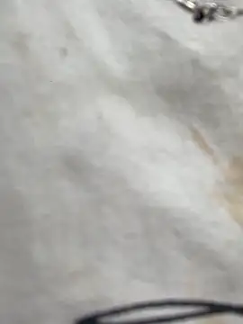 baeas-lan Pertunjukan Webcam