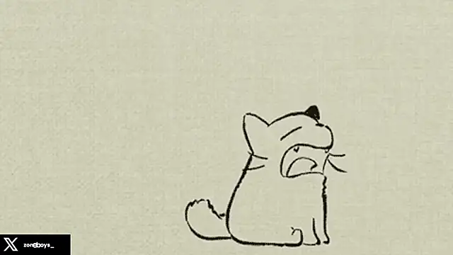 zoneboys Webcam Show