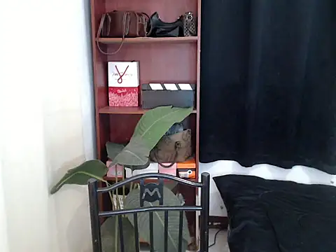 YougotLara: вебкам-шоу