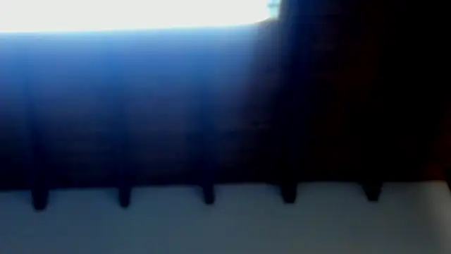 Miaa-Foxx Webcam show