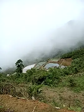 yeutinh00's Webcam Show