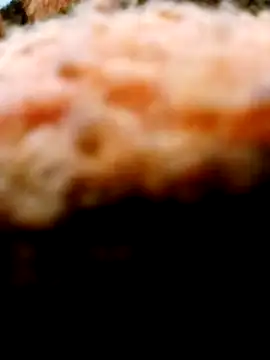 Pertunjukan Kamera Web Adix_02six