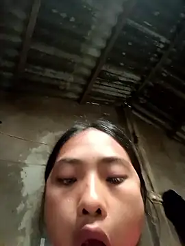 Hoa-tuylip Show Webcam