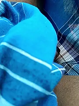 dolphiinn 网络视讯表演