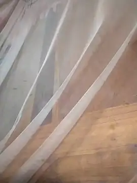 Reina_Fcup01 Show Webcam