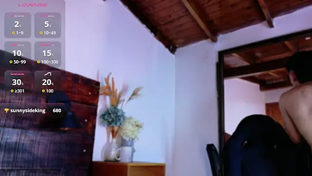 Show Webcam de JhosuaVega