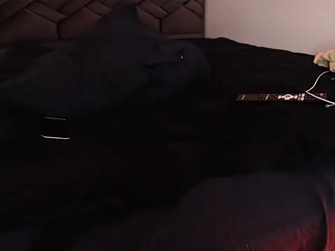 danypalmer Pertunjukan Webcam