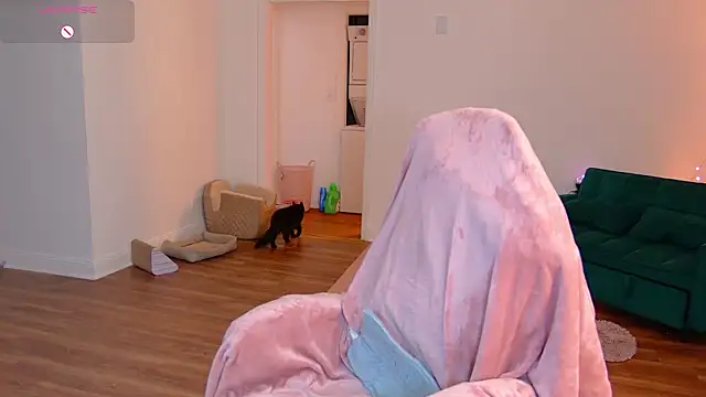 Chat +18 de mochamimi ao vivo