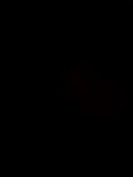 Webkamerová show Nidge251