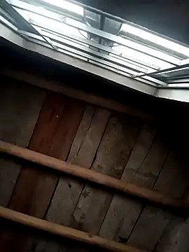 Hoa-tuylipのウェブカメラショー