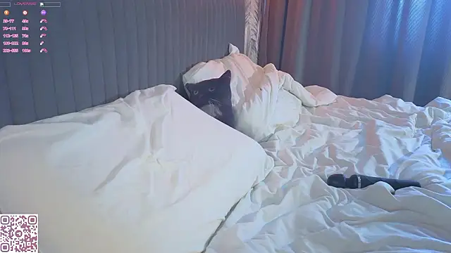 ElvinaRose's Live XXX Chat