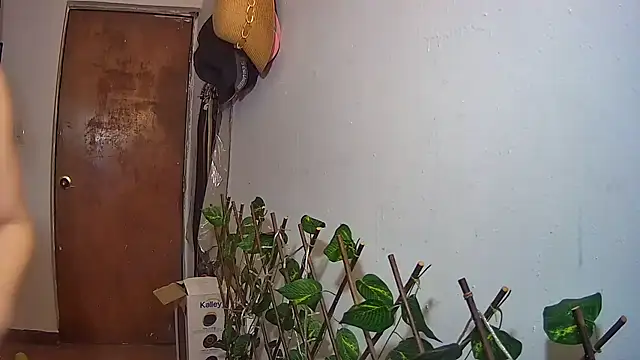 nicoltatiana_ 即時 XXX 聊天