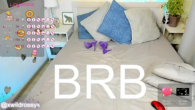 Show Webcam de wildrossy