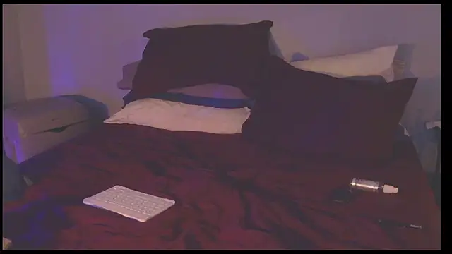 NWBuilt Show in webcam