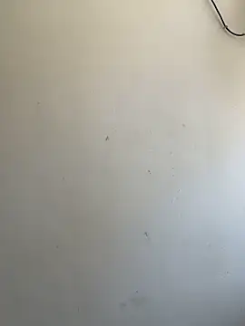 Modelbigbobs Live XXX-Chat